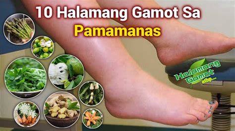 gamot sa pamamaga ng paa ng manok|Pamamaga Ng Paa: Sanhi, Gamot, at Home Remedy Para Dito.
